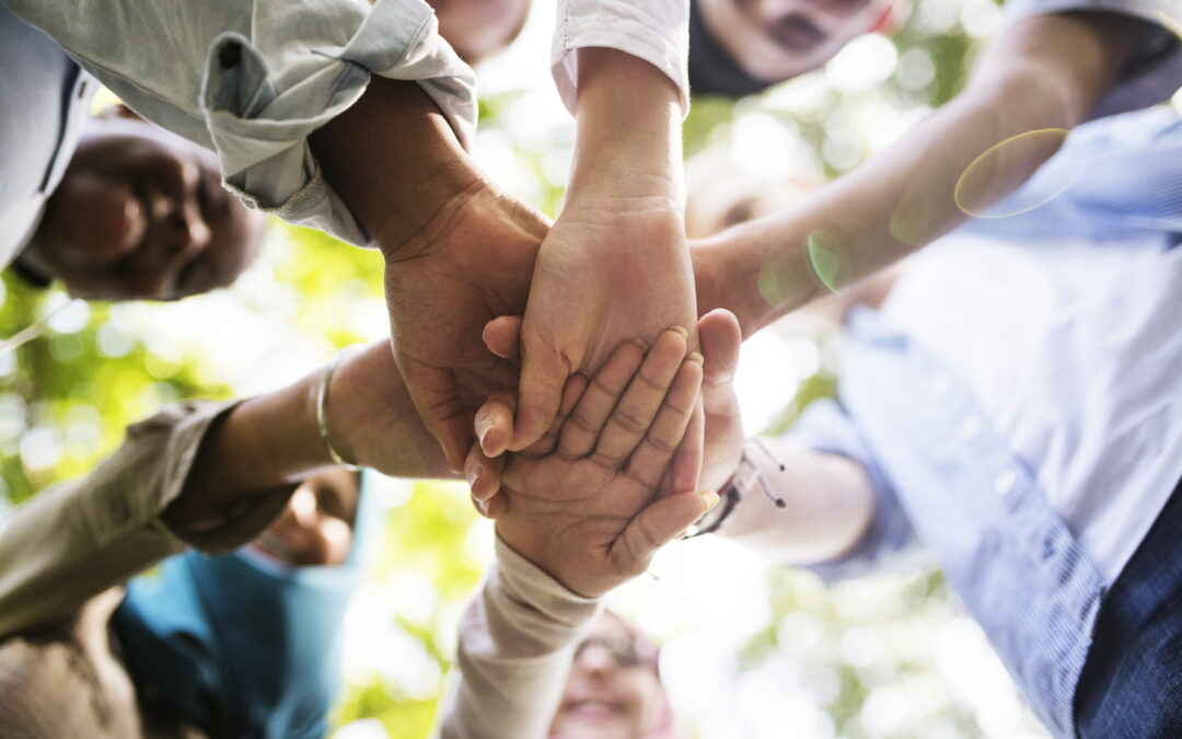 A Guide to Nonprofit Organization Branding